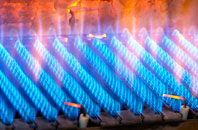 Leachkin gas fired boilers